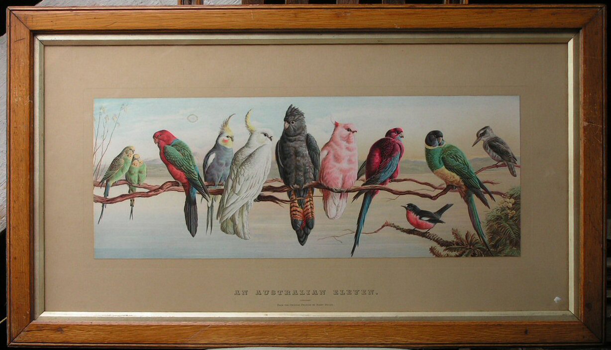 Chromolithograph - An Australian Eleven